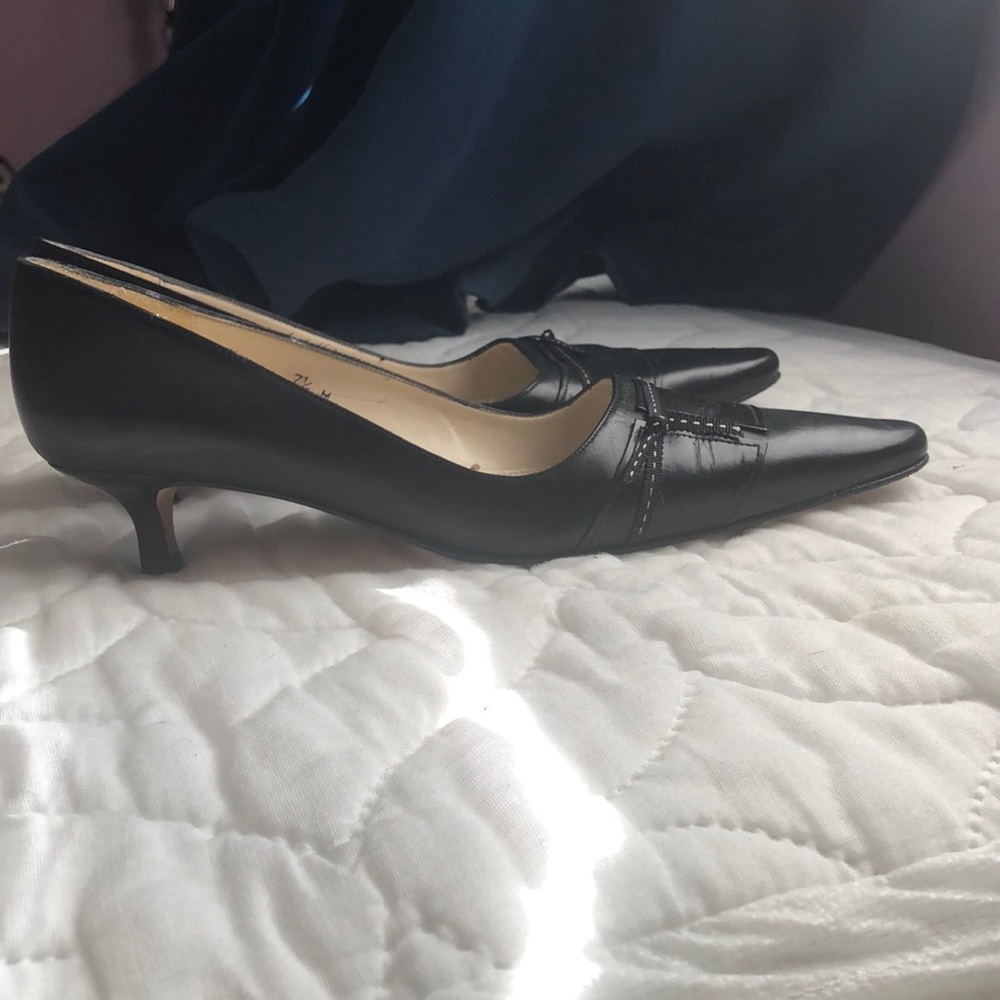 Beautiful Talbots black kitten heals